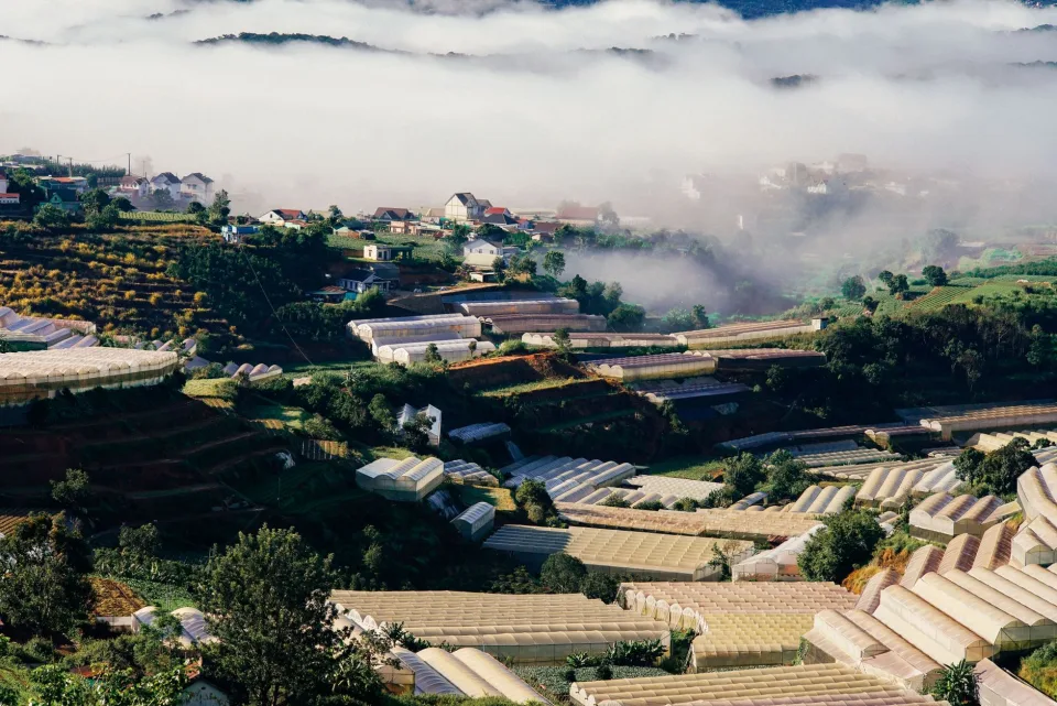 Quầy tiếp khách