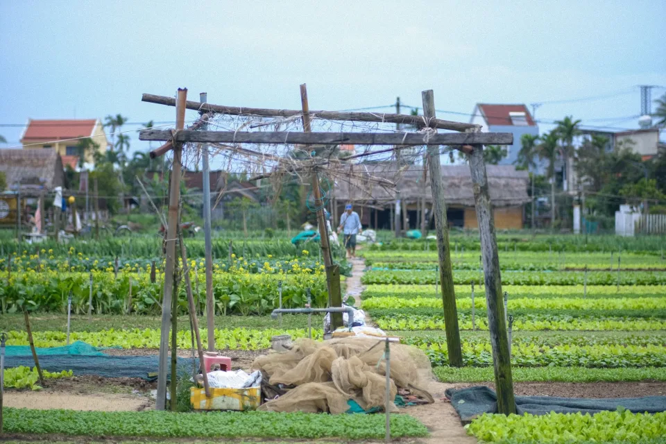 Kệ hạt giống và phân bón